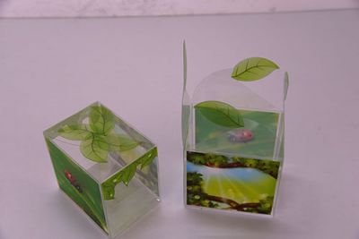 PET gấp hộp định hình srcset=
